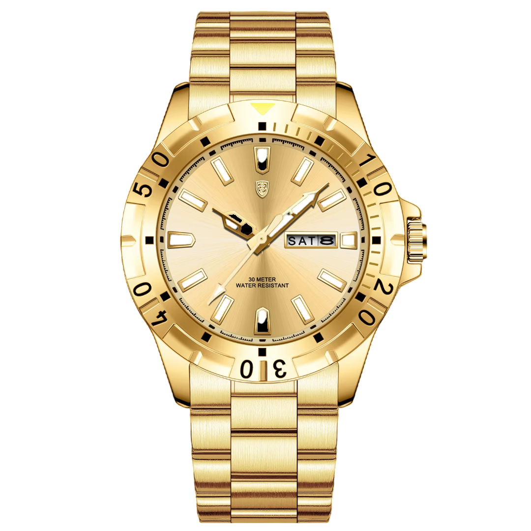 DRAVIK WATCH
