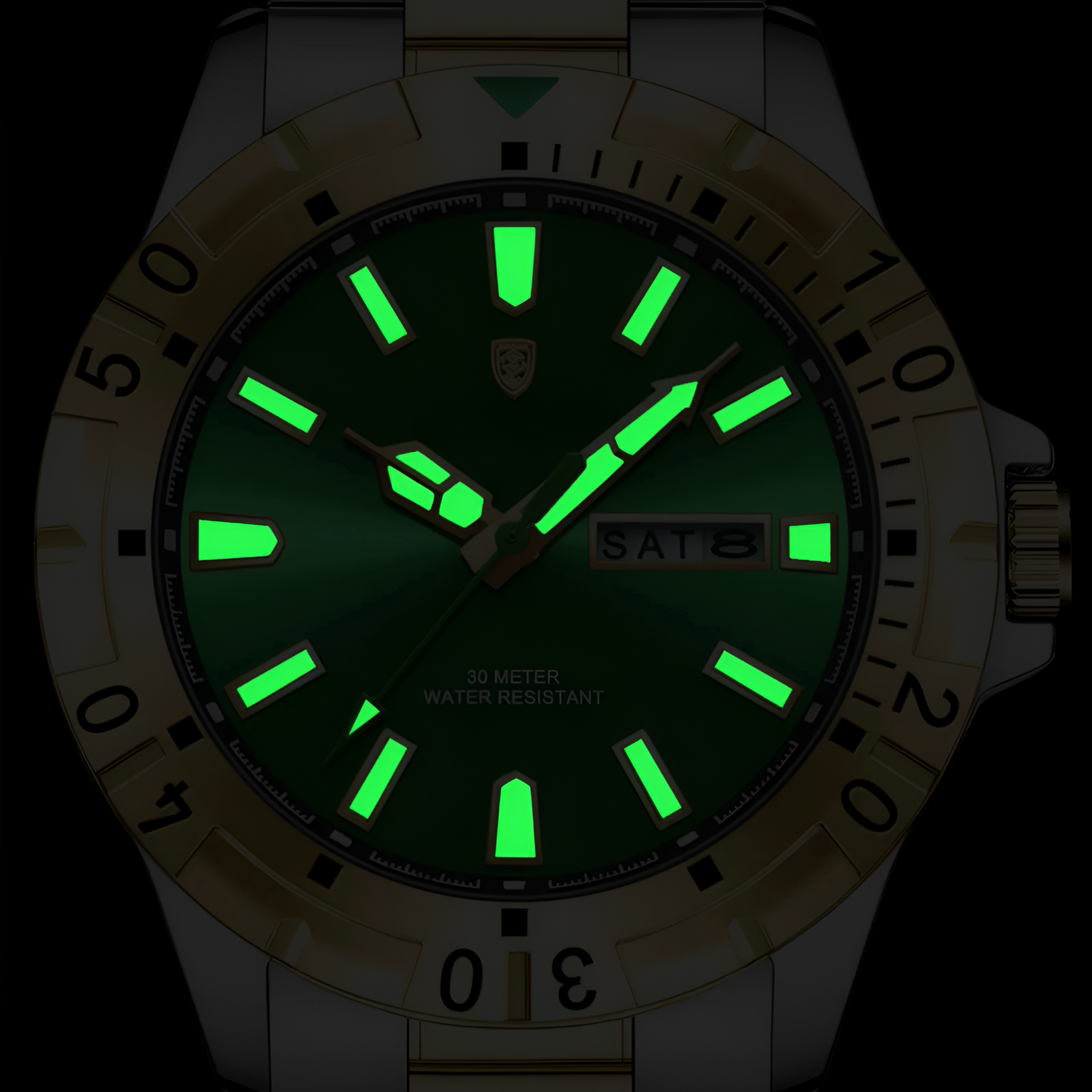 DRAVIK WATCH