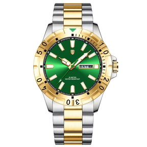 DRAVIK WATCH