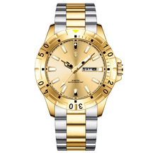 DRAVIK WATCH