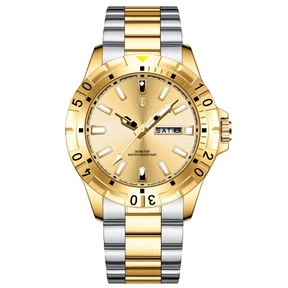 DRAVIK WATCH