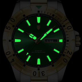 DRAVIK WATCH