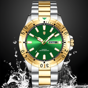 DRAVIK WATCH